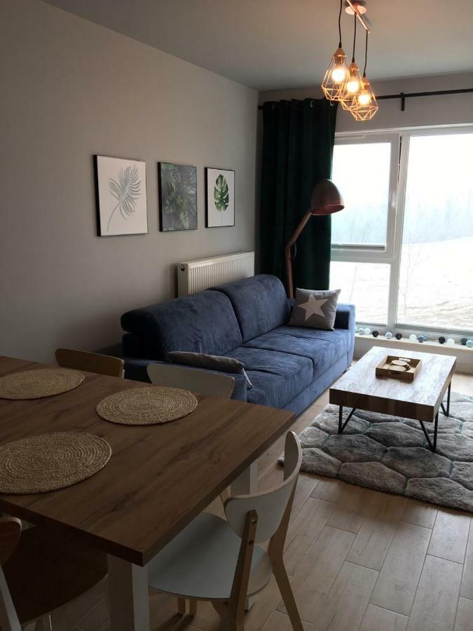 Apartament Nr 16 Шклярска Поремба Екстериор снимка