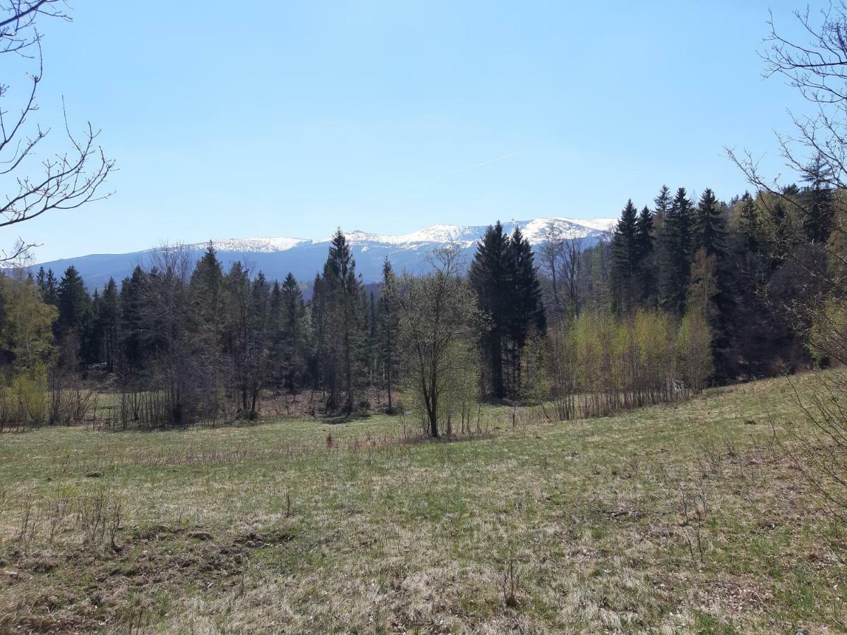 Apartament Nr 16 Шклярска Поремба Екстериор снимка