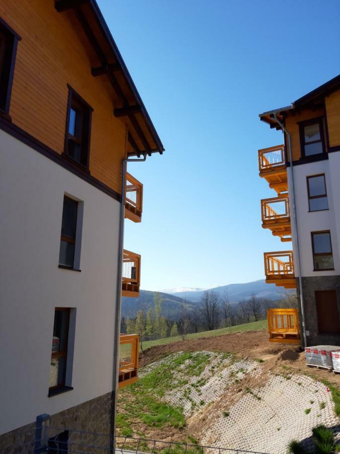 Apartament Nr 16 Шклярска Поремба Екстериор снимка